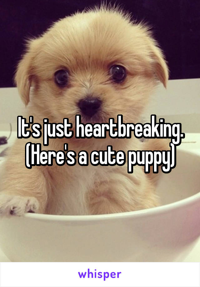 It's just heartbreaking.
(Here's a cute puppy)