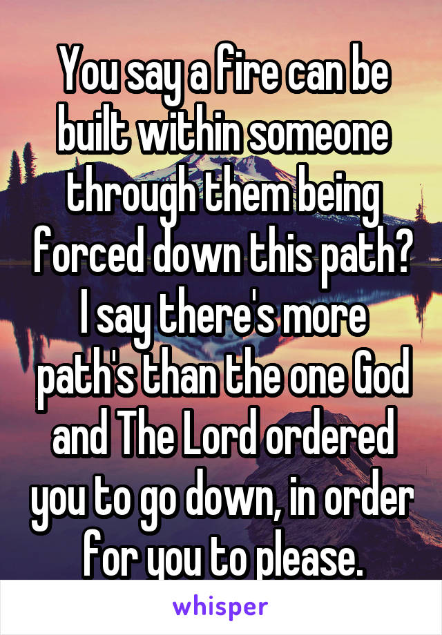 You say a fire can be built within someone through them being forced down this path? I say there's more path's than the one God and The Lord ordered you to go down, in order for you to please.