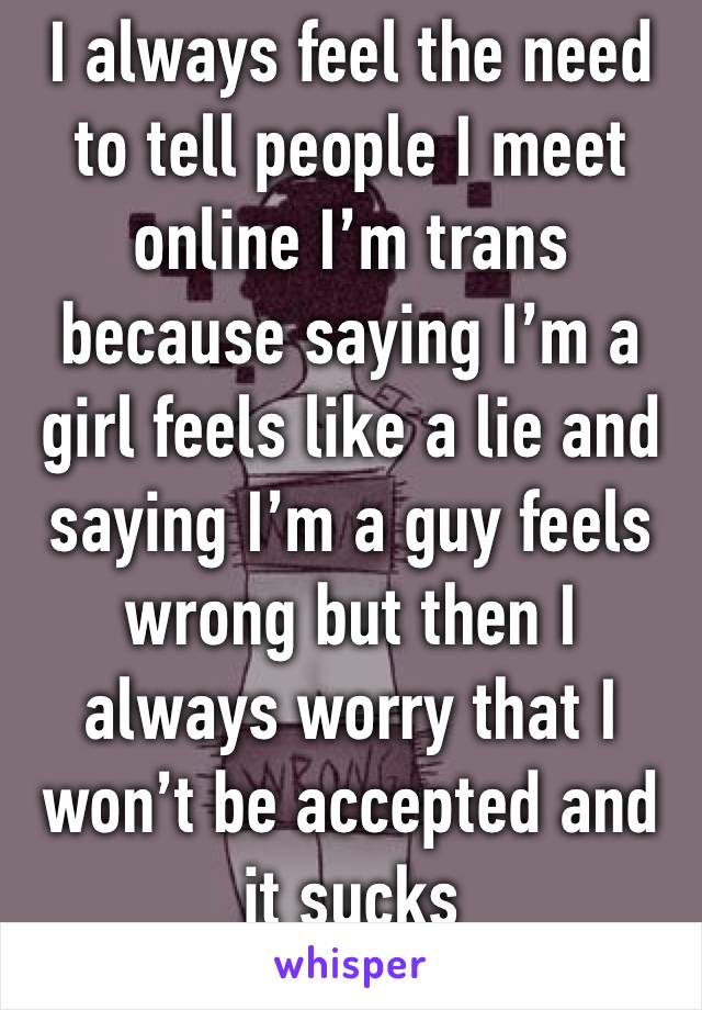 I always feel the need to tell people I meet online I’m trans because saying I’m a girl feels like a lie and saying I’m a guy feels wrong but then I always worry that I won’t be accepted and it sucks