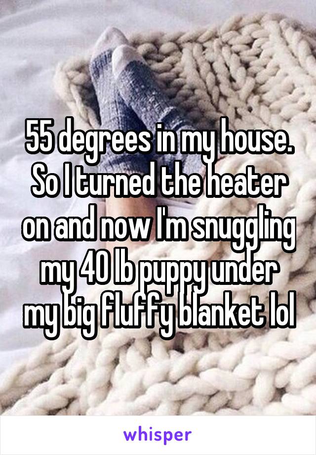 55 degrees in my house. So I turned the heater on and now I'm snuggling my 40 lb puppy under my big fluffy blanket lol
