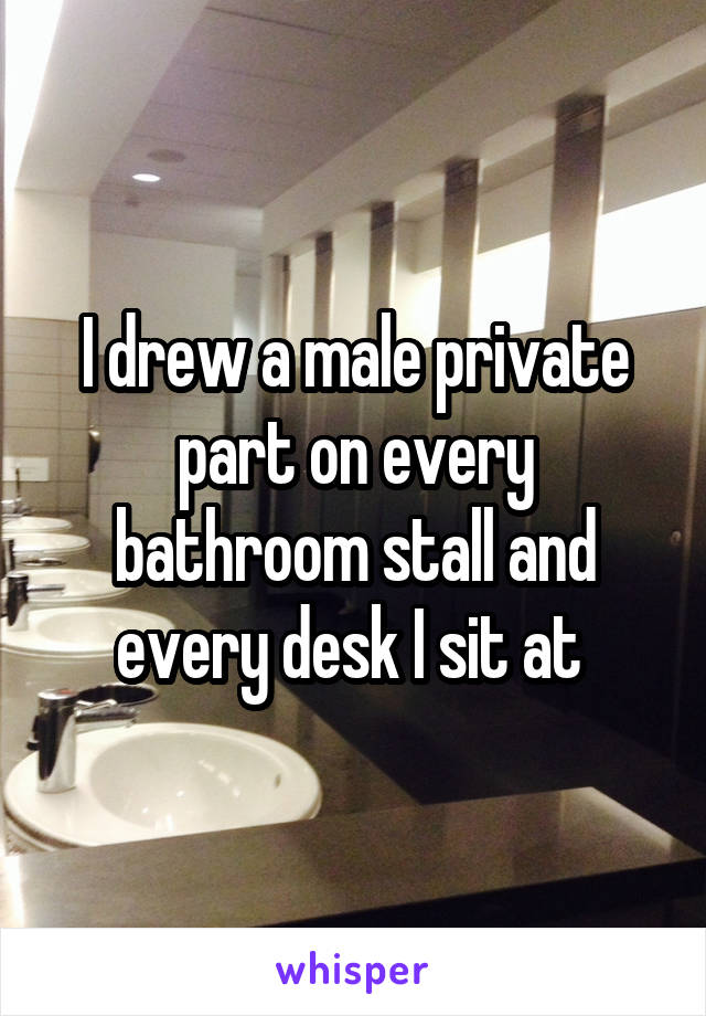 I drew a male private part on every bathroom stall and every desk I sit at 
