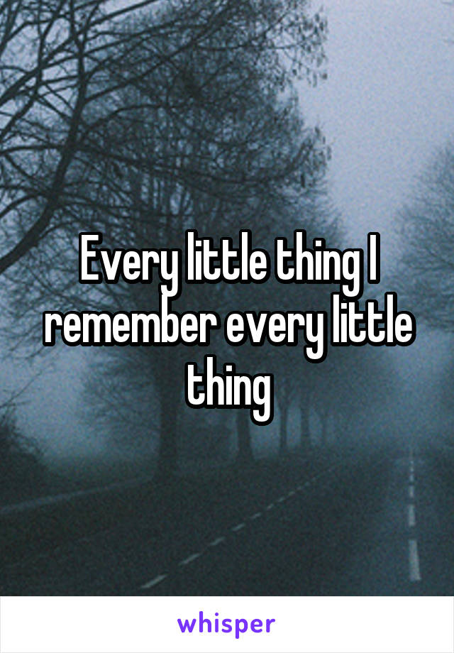 Every little thing I remember every little thing