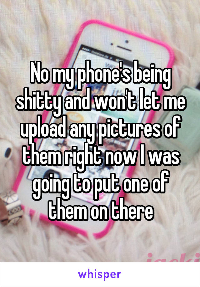 No my phone's being shitty and won't let me upload any pictures of them right now I was going to put one of them on there
