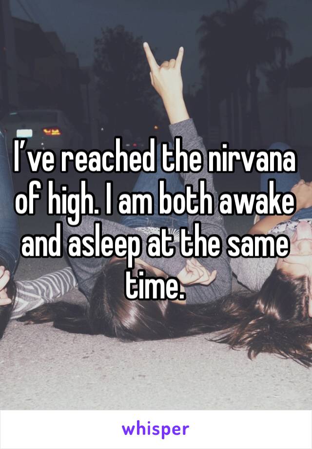 I’ve reached the nirvana of high. I am both awake and asleep at the same time. 