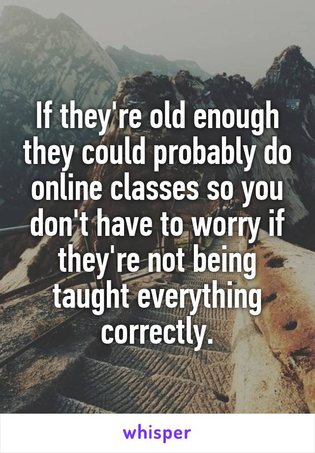 If they're old enough they could probably do online classes so you don't have to worry if they're not being taught everything correctly.