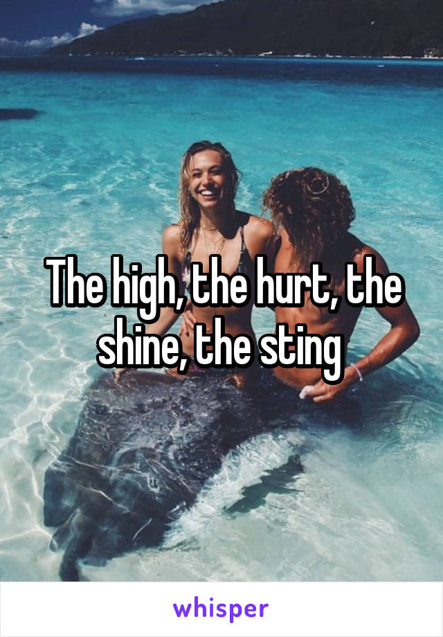 The high, the hurt, the shine, the sting 