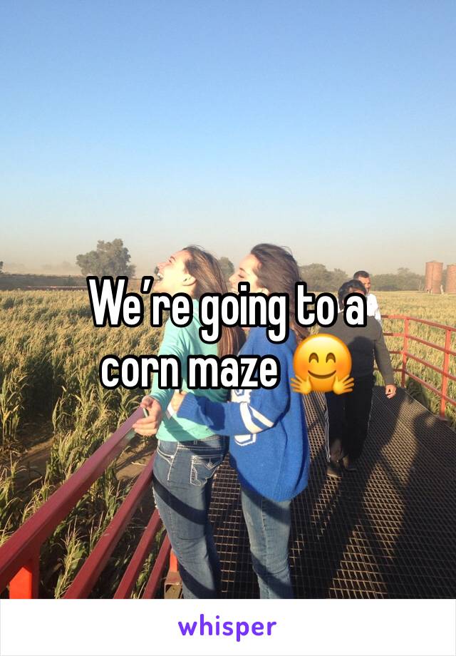 We’re going to a corn maze 🤗