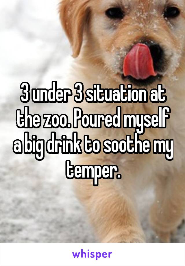 3 under 3 situation at the zoo. Poured myself a big drink to soothe my temper.