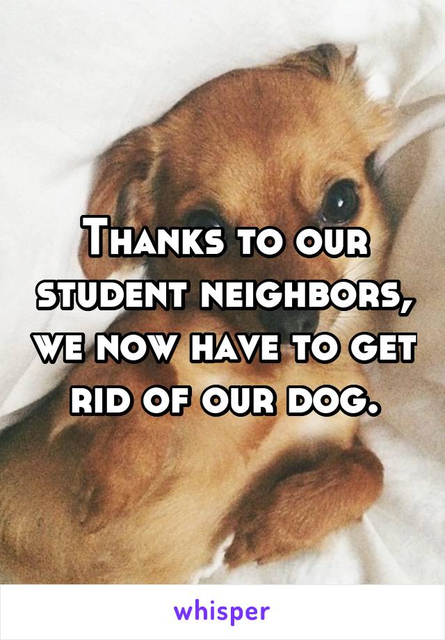 Thanks to our student neighbors, we now have to get rid of our dog.