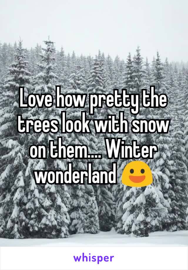 Love how pretty the trees look with snow on them.... Winter wonderland 😃