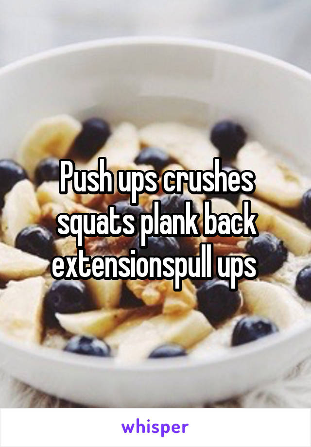 Push ups crushes squats plank back extensions\pull ups 