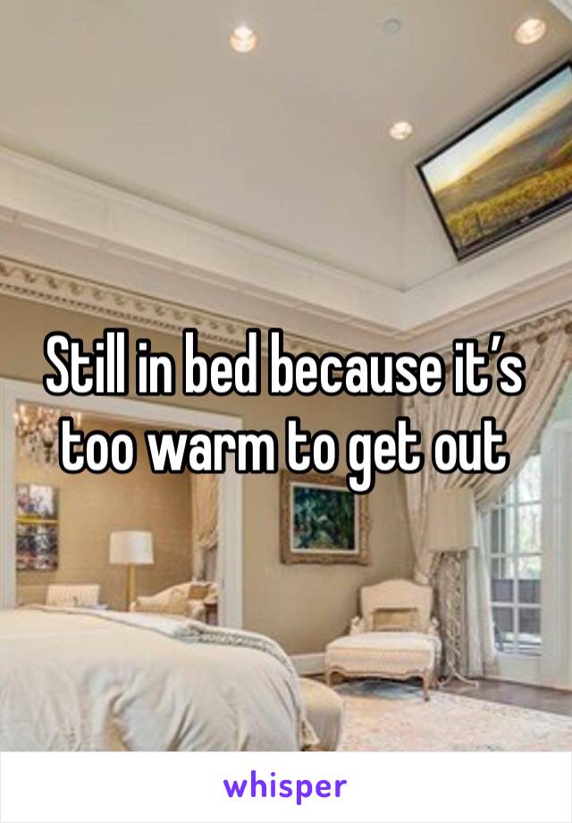 Still in bed because it’s too warm to get out 