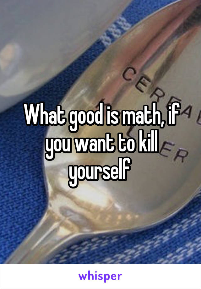What good is math, if you want to kill yourself 