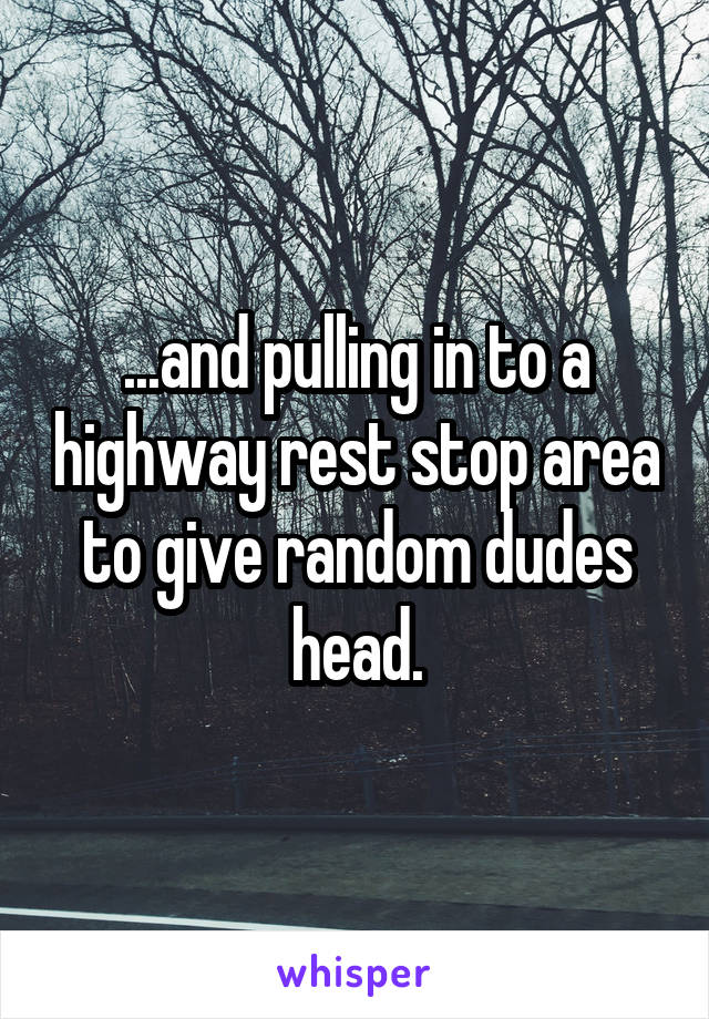 ...and pulling in to a highway rest stop area to give random dudes head.