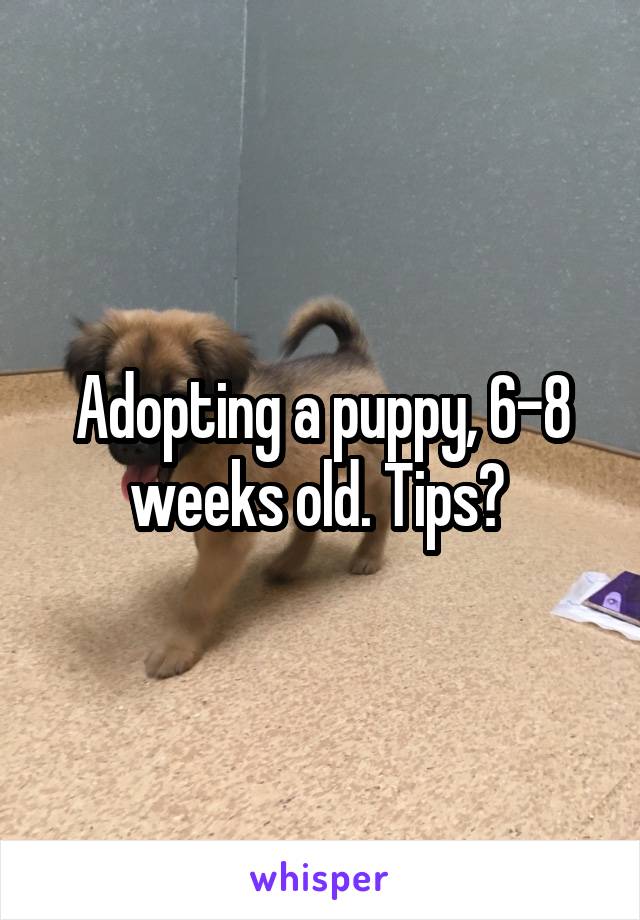 Adopting a puppy, 6-8 weeks old. Tips? 