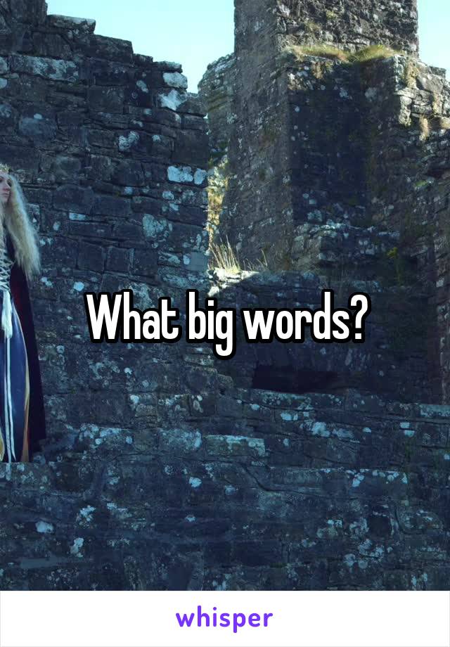 What big words?