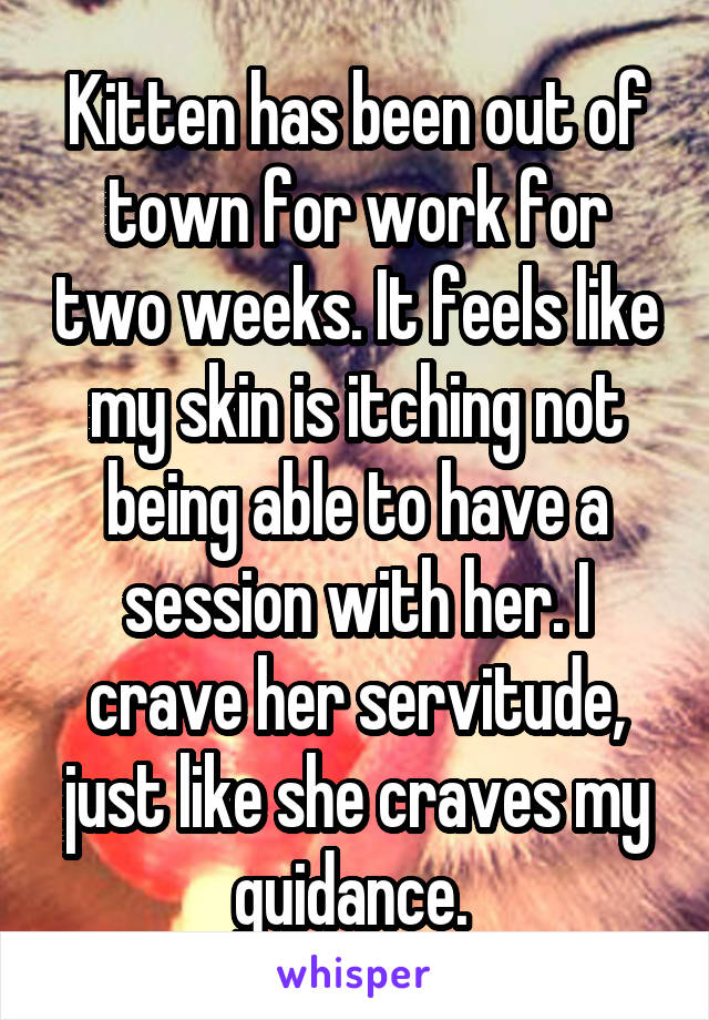Kitten has been out of town for work for two weeks. It feels like my skin is itching not being able to have a session with her. I crave her servitude, just like she craves my guidance. 