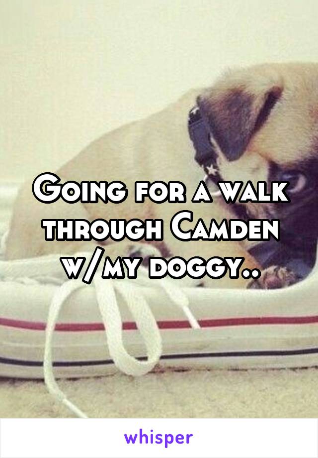 Going for a walk through Camden w/my doggy..