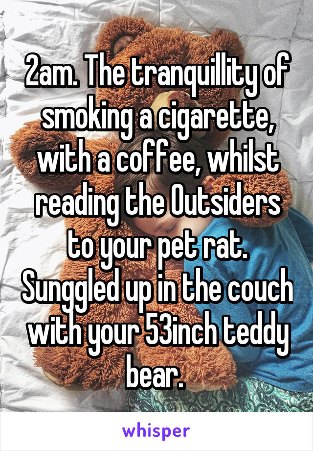 2am. The tranquillity of smoking a cigarette, with a coffee, whilst reading the Outsiders to your pet rat. Sunggled up in the couch with your 53inch teddy bear. 