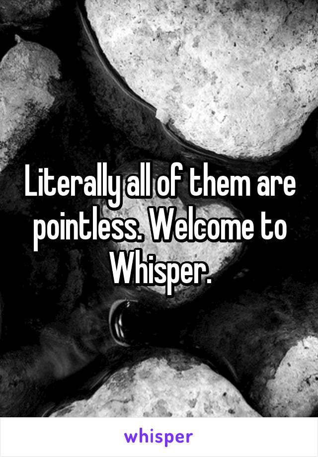 Literally all of them are pointless. Welcome to Whisper.