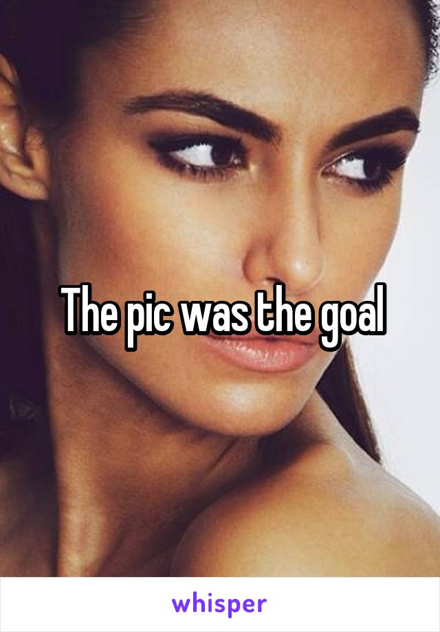 The pic was the goal