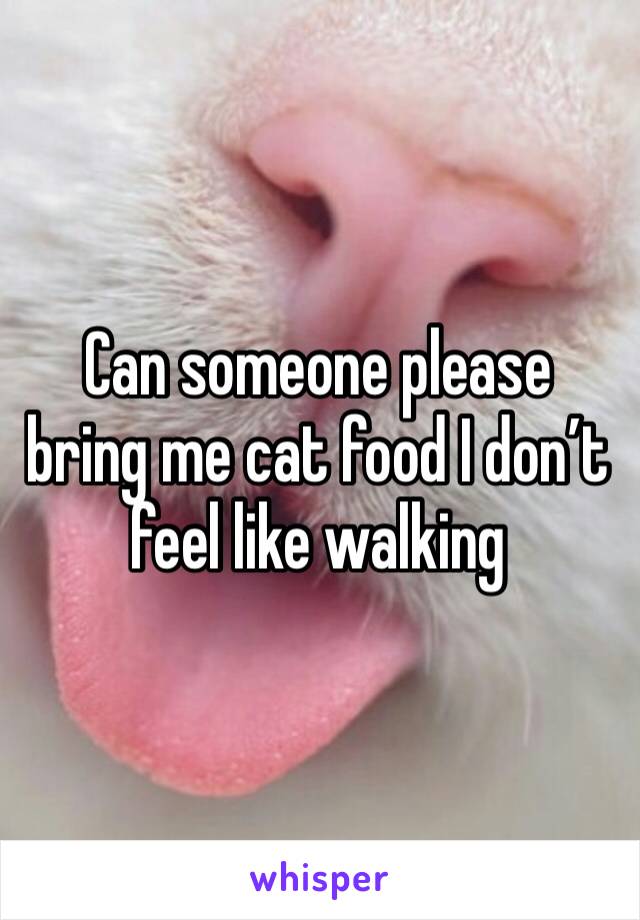 Can someone please bring me cat food I don’t feel like walking 