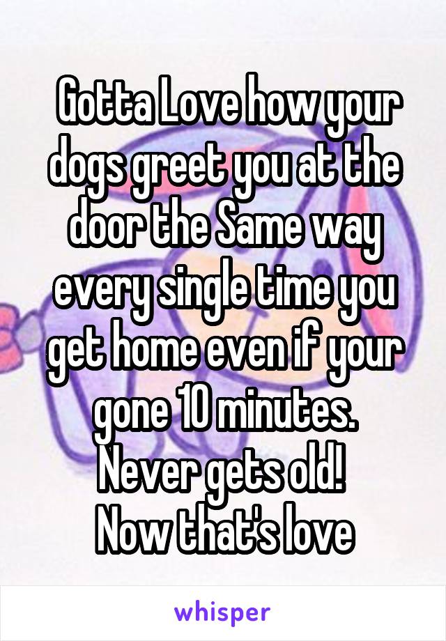  Gotta Love how your dogs greet you at the door the Same way every single time you get home even if your gone 10 minutes.
Never gets old! 
Now that's love
