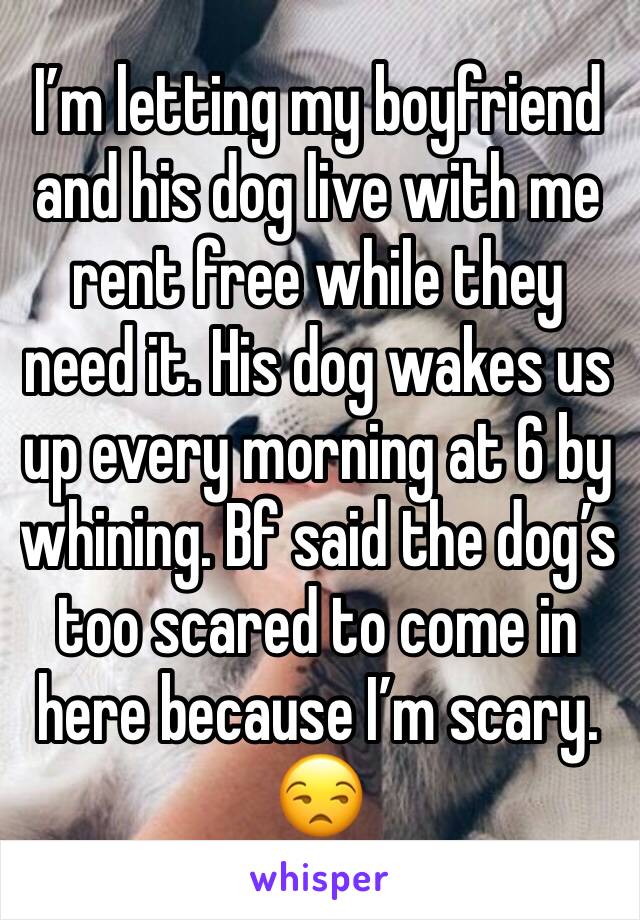 Iâ€™m letting my boyfriend and his dog live with me rent free while they need it. His dog wakes us up every morning at 6 by whining. Bf said the dogâ€™s too scared to come in here because Iâ€™m scary. ðŸ˜’