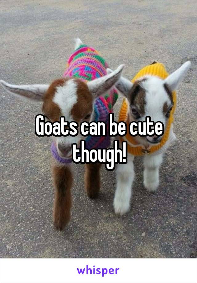 Goats can be cute though!