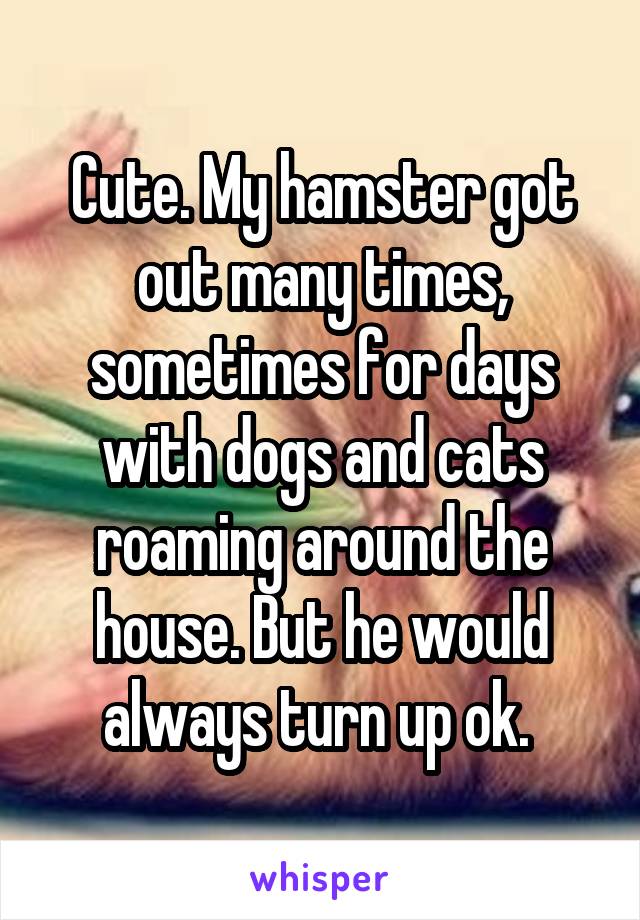 Cute. My hamster got out many times, sometimes for days with dogs and cats roaming around the house. But he would always turn up ok. 