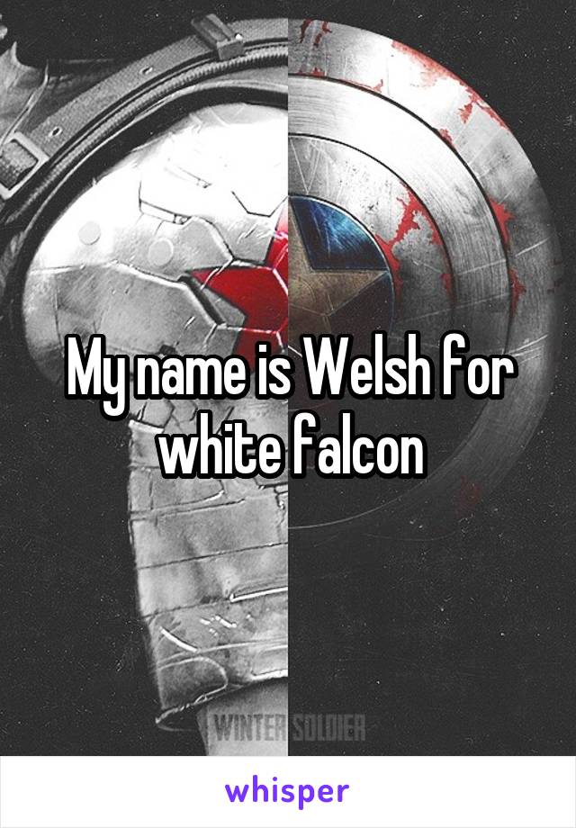 My name is Welsh for white falcon