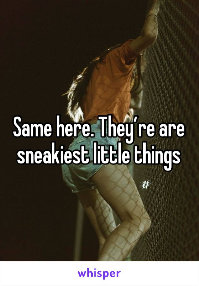 Same here. They’re are sneakiest little things 