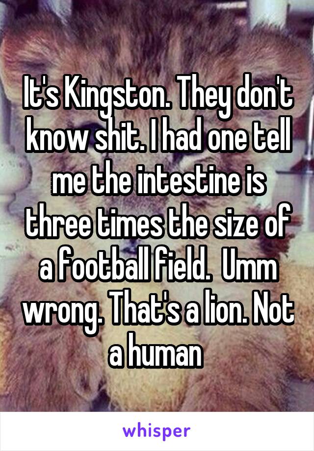 It's Kingston. They don't know shit. I had one tell me the intestine is three times the size of a football field.  Umm wrong. That's a lion. Not a human 