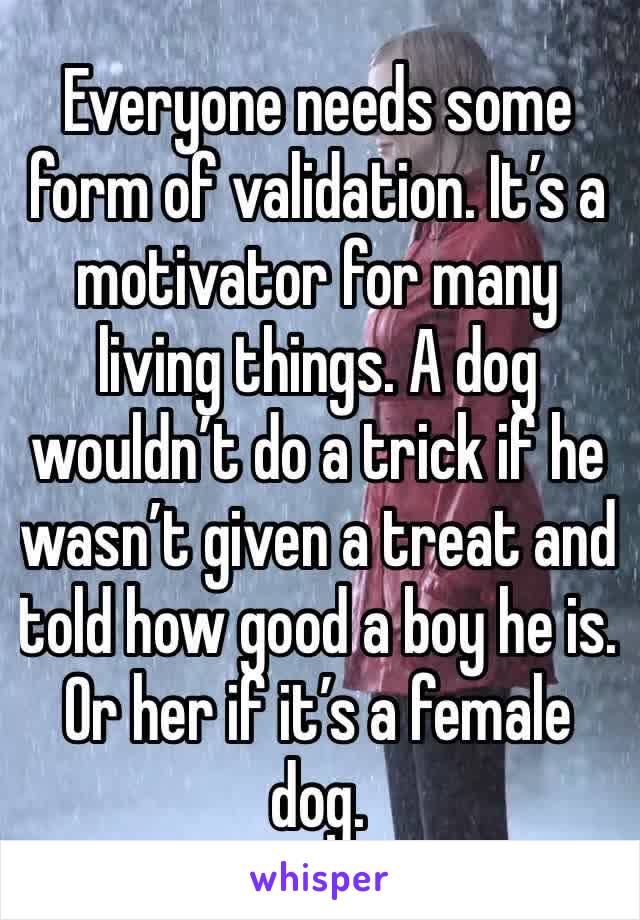 Everyone needs some form of validation. It’s a motivator for many living things. A dog wouldn’t do a trick if he wasn’t given a treat and told how good a boy he is. Or her if it’s a female dog.