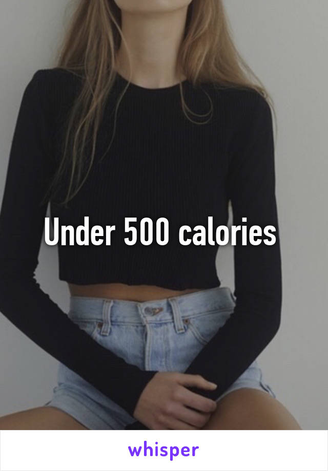 Under 500 calories 
