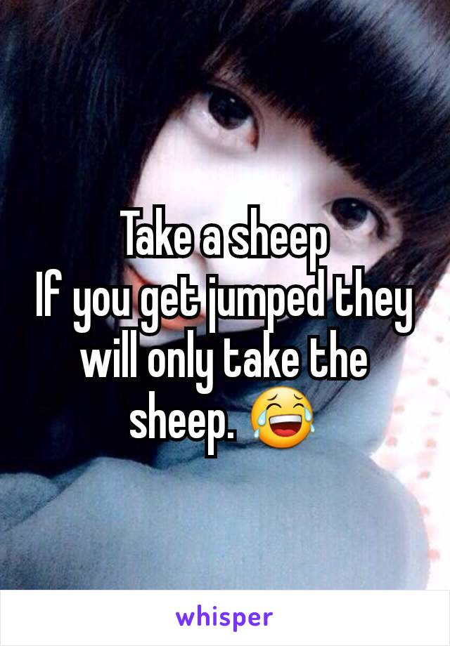 Take a sheep
If you get jumped they will only take the sheep. 😂