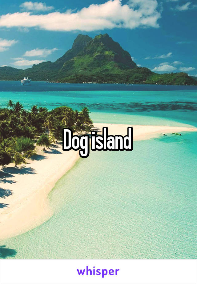 Dog island 