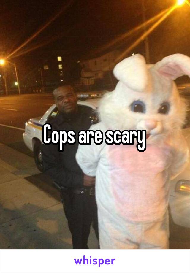 Cops are scary 