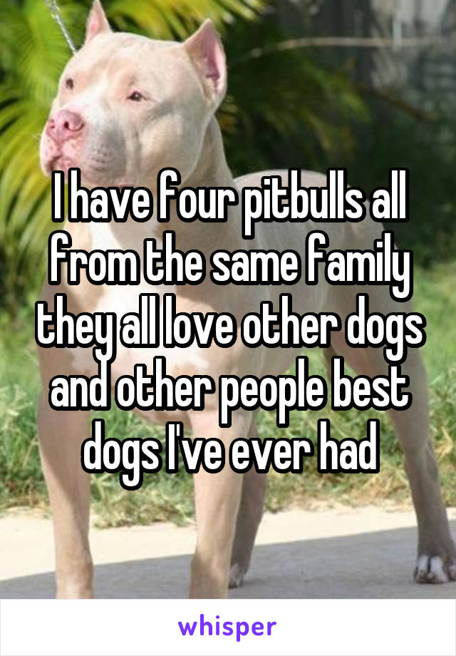 I have four pitbulls all from the same family they all love other dogs and other people best dogs I've ever had