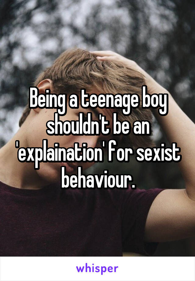 Being a teenage boy shouldn't be an 'explaination' for sexist behaviour.