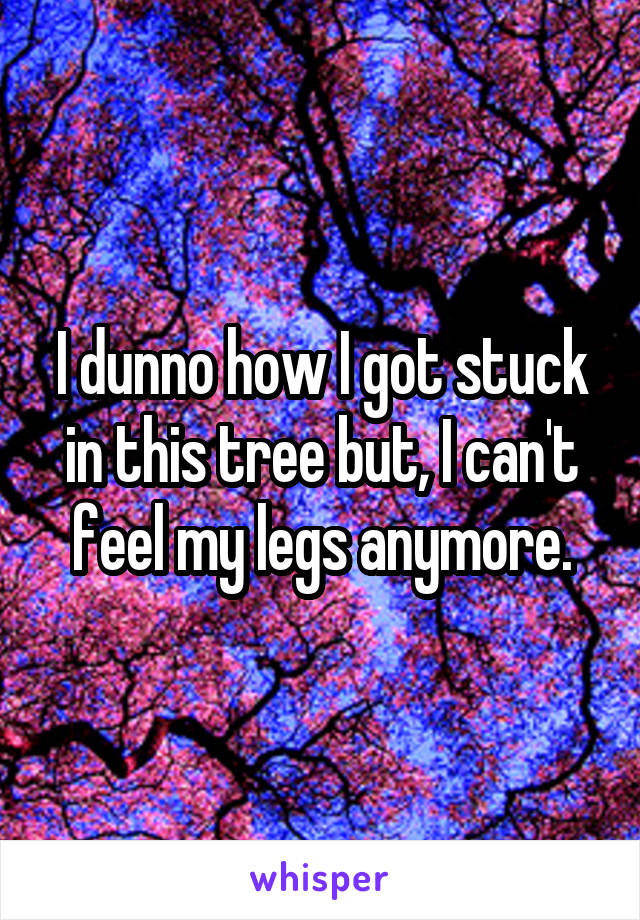 I dunno how I got stuck in this tree but, I can't feel my legs anymore.