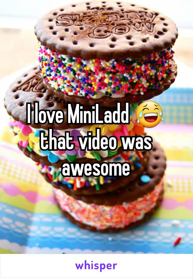 I love MiniLadd 😂 that video was awesome