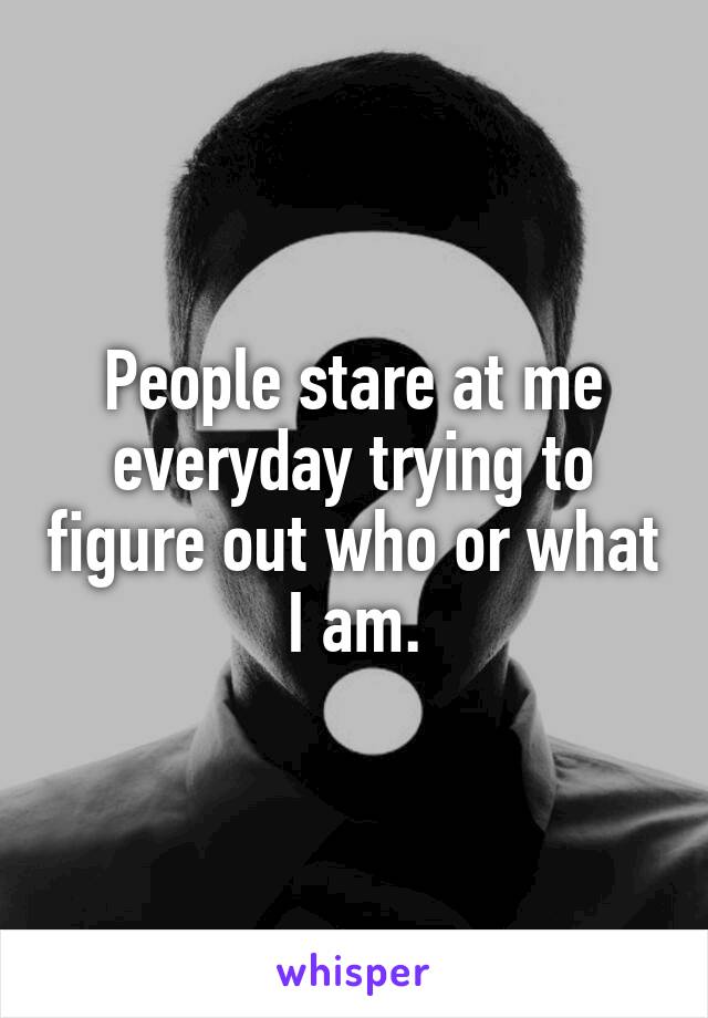 People stare at me everyday trying to figure out who or what I am.
