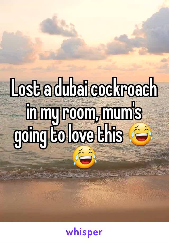 Lost a dubai cockroach in my room, mum's going to love this 😂😂