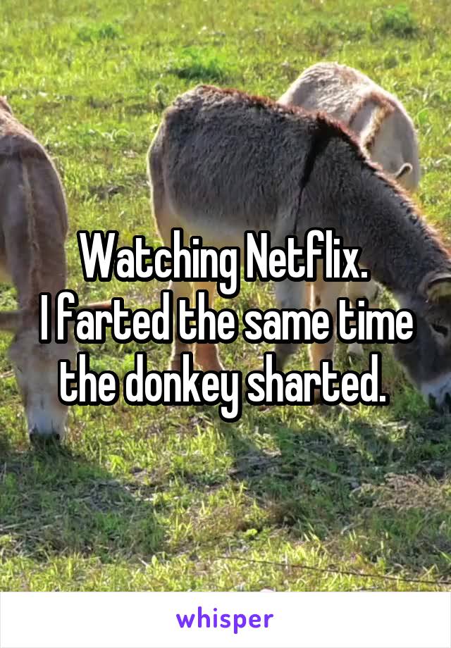 Watching Netflix. 
I farted the same time the donkey sharted. 
