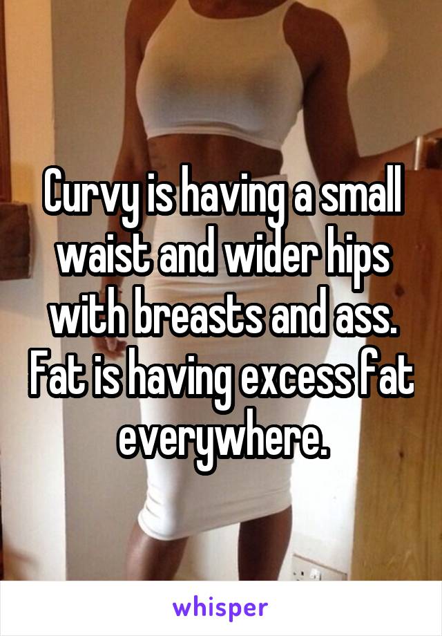 Curvy is having a small waist and wider hips with breasts and ass. Fat is having excess fat everywhere.