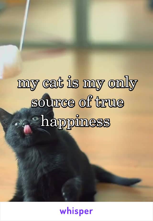 my cat is my only source of true happiness 
