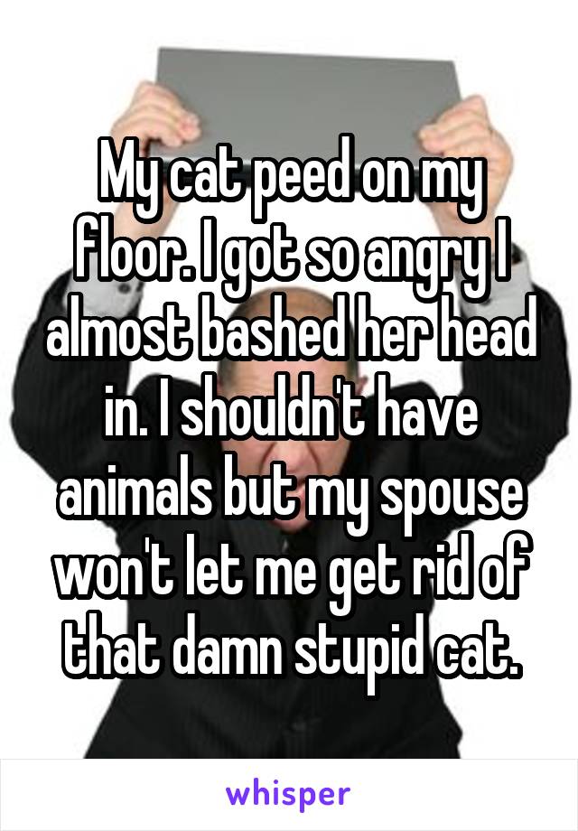 My cat peed on my floor. I got so angry I almost bashed her head in. I shouldn't have animals but my spouse won't let me get rid of that damn stupid cat.