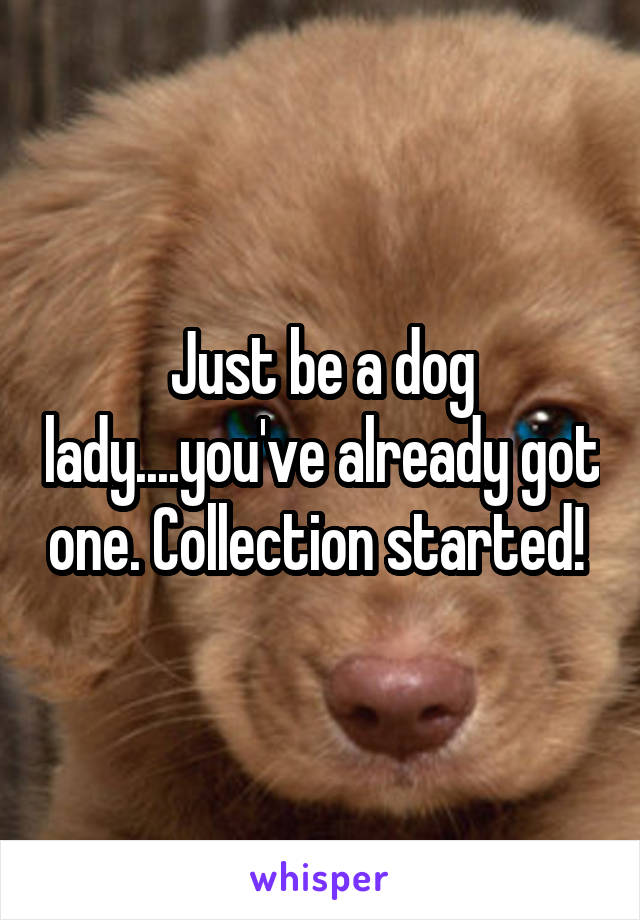 Just be a dog lady....you've already got one. Collection started! 