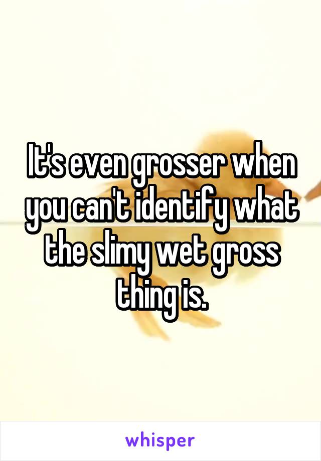 It's even grosser when you can't identify what the slimy wet gross thing is.